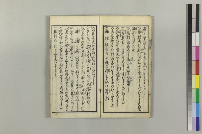 麻疹養生伝 - ページ 8