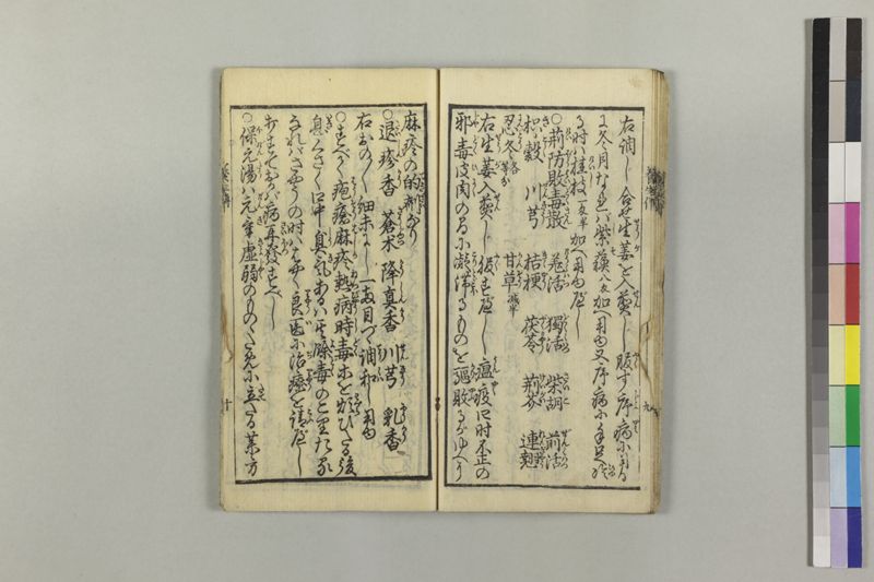 麻疹養生伝 - ページ 13