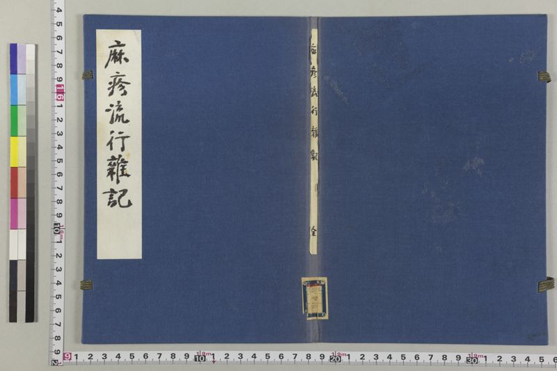 〔麻疹流行雑記〕 - ページ 2