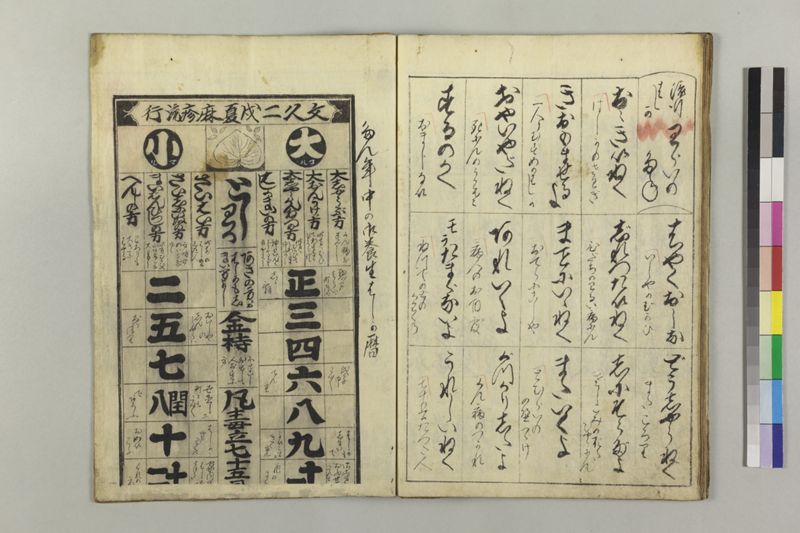 〔麻疹流行雑記〕 - ページ 17