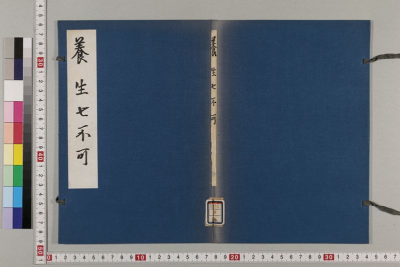 養生七不可 1巻 - ページ 2