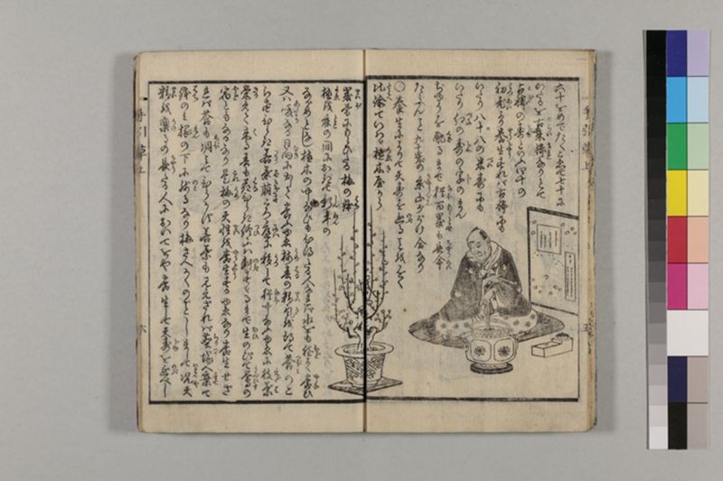(無病長寿)養生手引草 2巻 - ページ 11