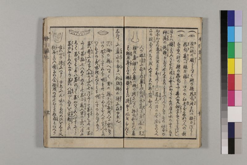 (無病長寿)養生手引草 2巻 - ページ 16