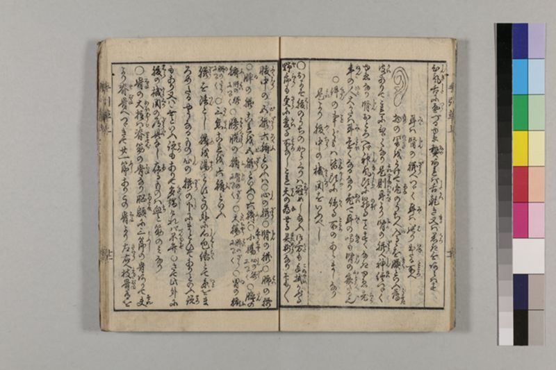 (無病長寿)養生手引草 2巻 - ページ 17