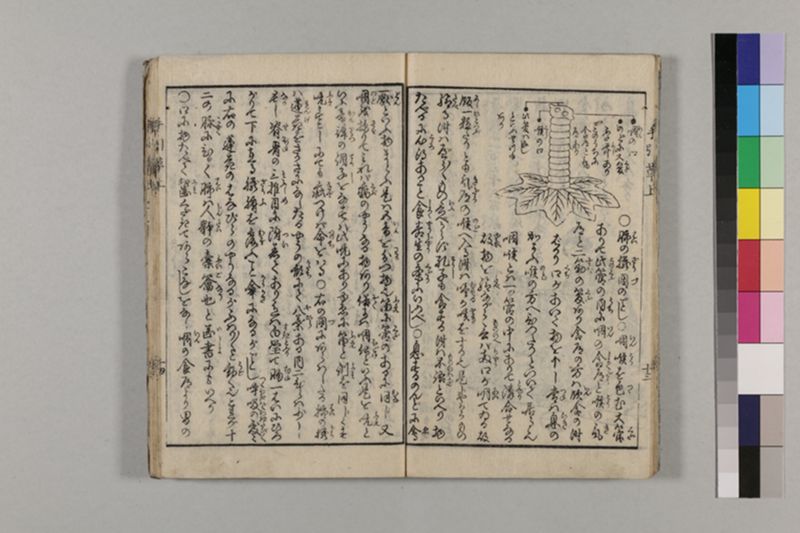 (無病長寿)養生手引草 2巻 - ページ 19