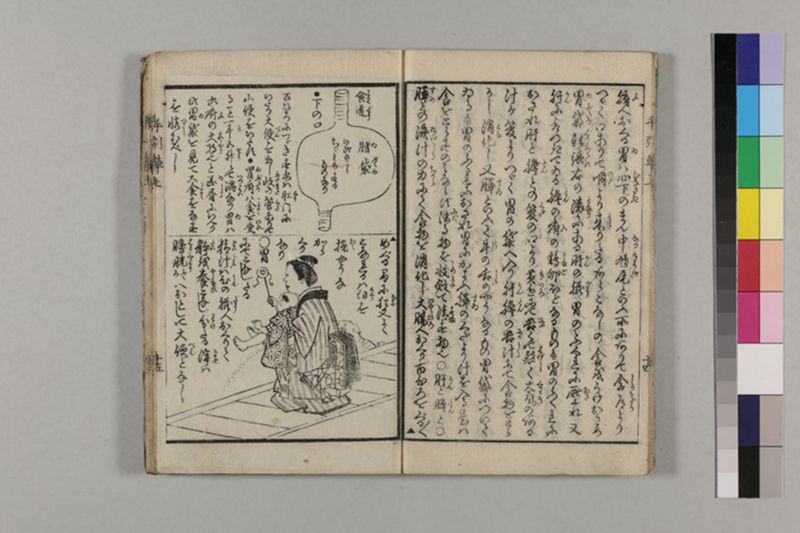 (無病長寿)養生手引草 2巻 - ページ 20