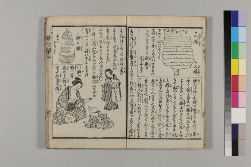 (無病長寿)養生手引草 2巻 - ページ 21
