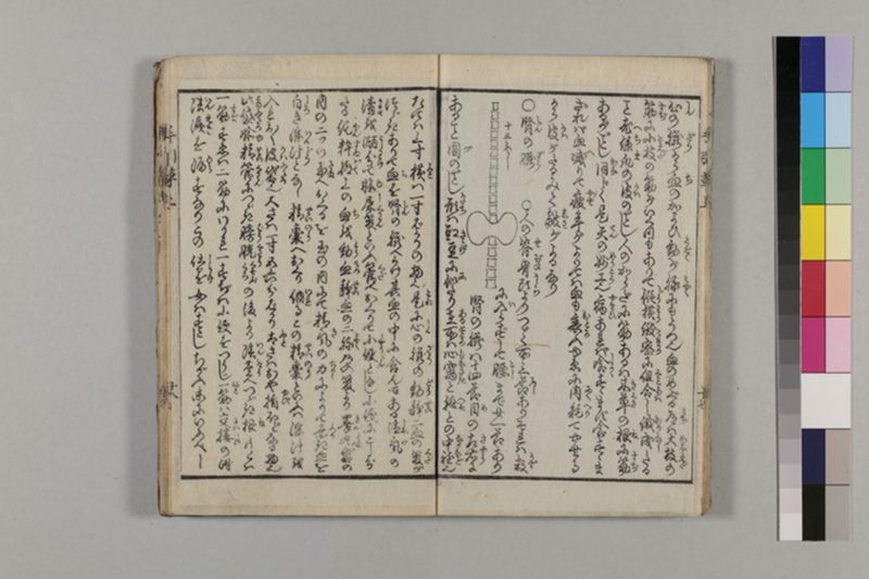 (無病長寿)養生手引草 2巻 - ページ 23