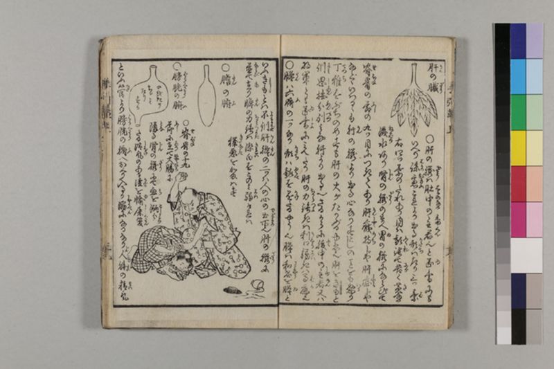 (無病長寿)養生手引草 2巻 - ページ 24