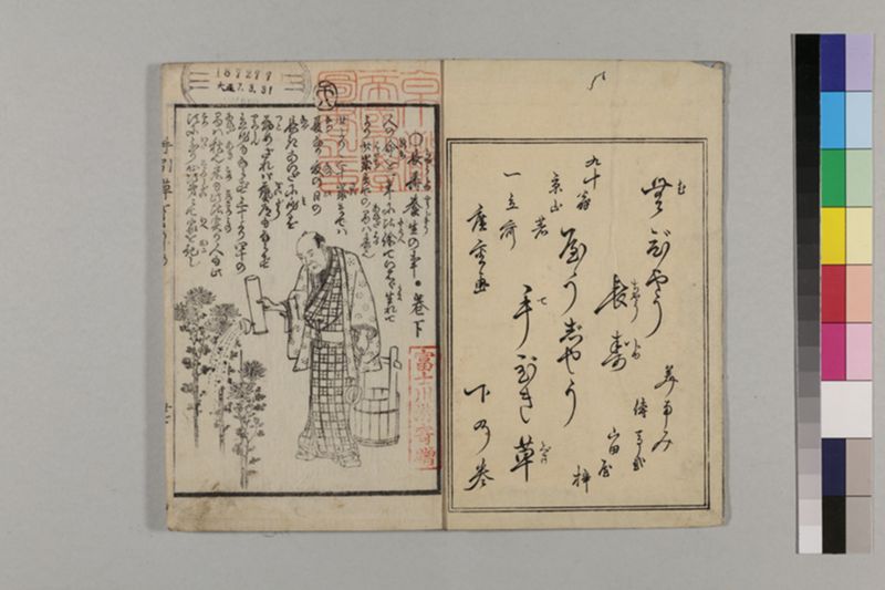 (無病長寿)養生手引草 2巻 - ページ 36