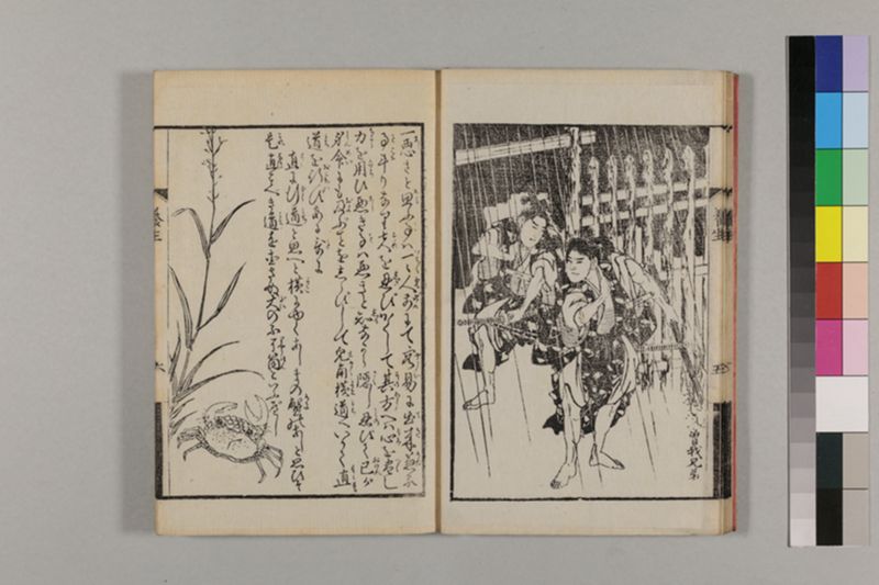 (画挿)養生はなし 2巻 - ページ 13
