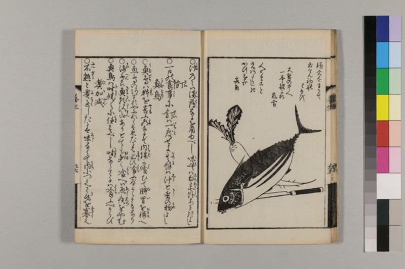 (画挿)養生はなし 2巻 - ページ 43