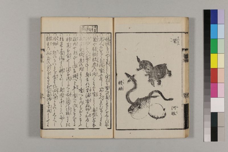 (画挿)養生はなし 2巻 - ページ 45