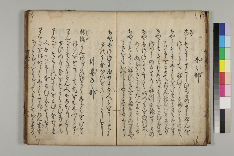 和歌食物本草 2巻 - ページ 19