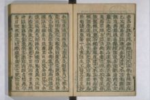 黄帝内経素問註証発微/黄帝内経霊枢註証発微 (素問)9巻,附:(霊枢)9巻 