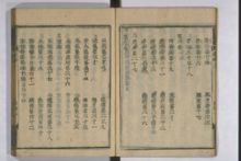黄帝内経素問註証発微/黄帝内経霊枢註証発微 (素問)9巻,附:(霊枢)9巻 