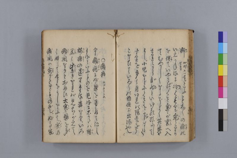 病家要論 三冊(上・中・下) - ページ 38