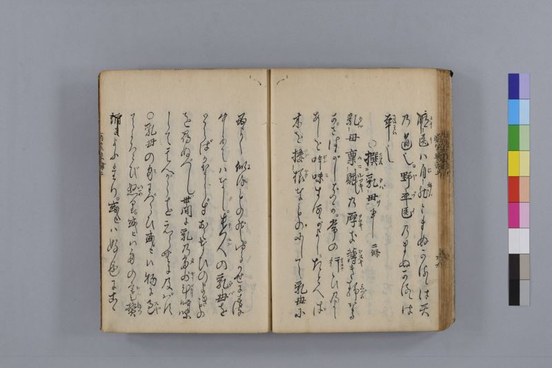病家要論 三冊(上・中・下) - ページ 43