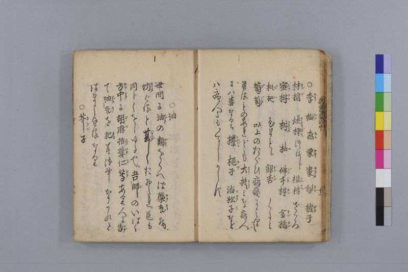 病家要論 三冊(上・中・下) - ページ 61