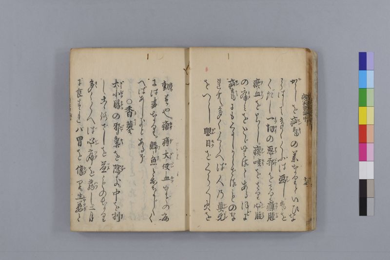 病家要論 三冊(上・中・下) - ページ 62
