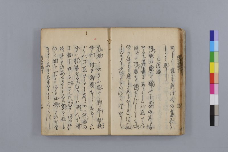 病家要論 三冊(上・中・下) - ページ 63