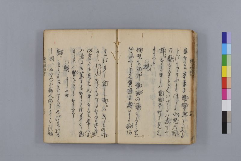 病家要論 三冊(上・中・下) - ページ 65