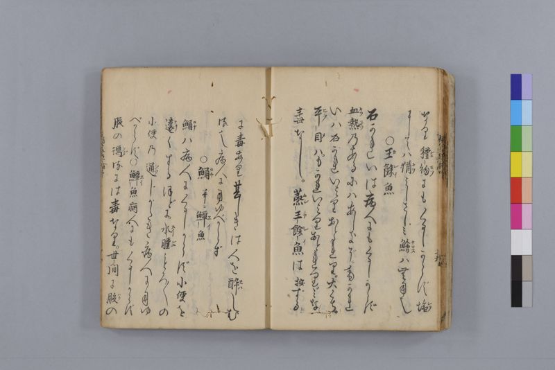 病家要論 三冊(上・中・下) - ページ 66