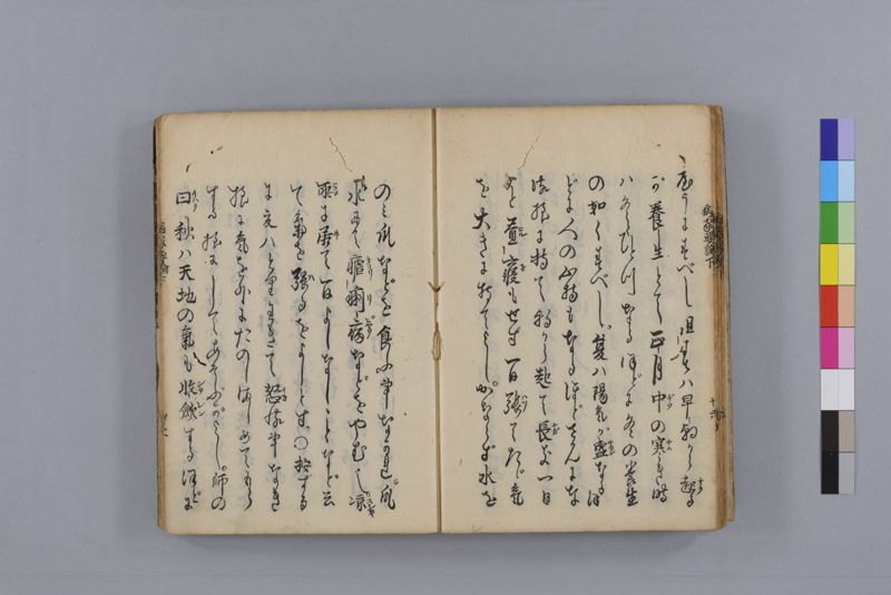 病家要論 三冊(上・中・下) - ページ 100