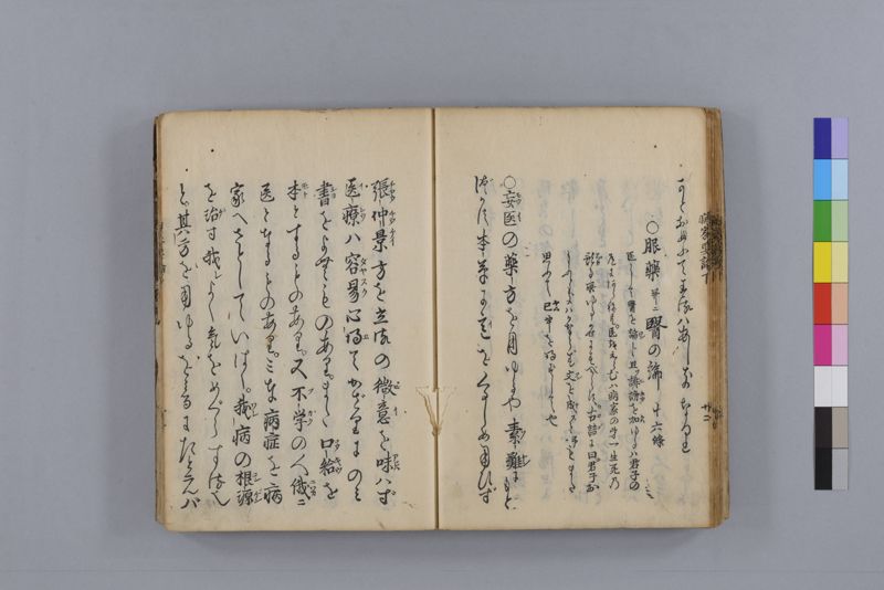 病家要論 三冊(上・中・下) - ページ 106