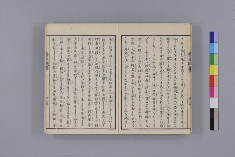 養生随筆 三冊(上・中・下) - ページ 41