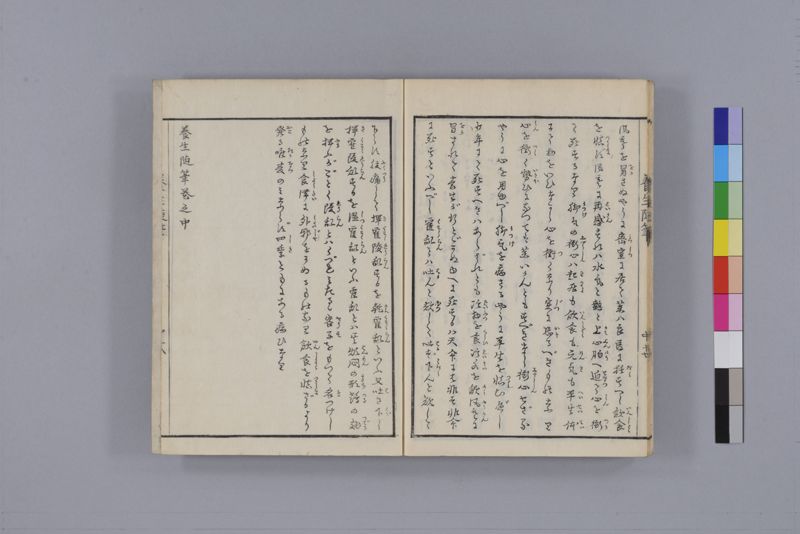 養生随筆 三冊(上・中・下) - ページ 43