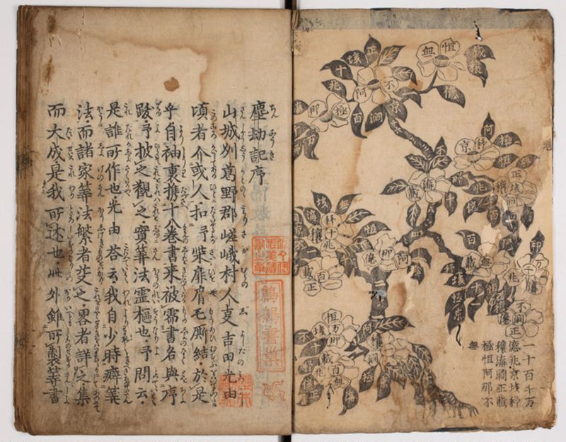 塵劫記 3巻 (存2巻)（寛永8年版、京大数学） - ページ 2