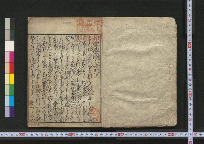 竹斎療治之評判 2巻 - ページ 2