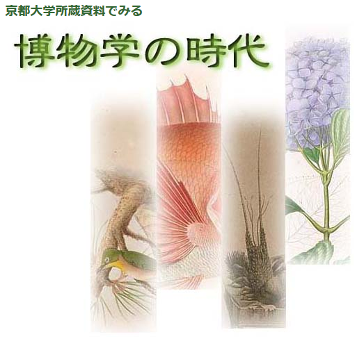 京都大学所蔵資料でみる植物学の時代