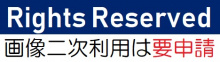 画像二次利用は要申請(工学研究科/Conder)