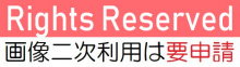 画像二次利用は要申請（工学研究科/Conder）